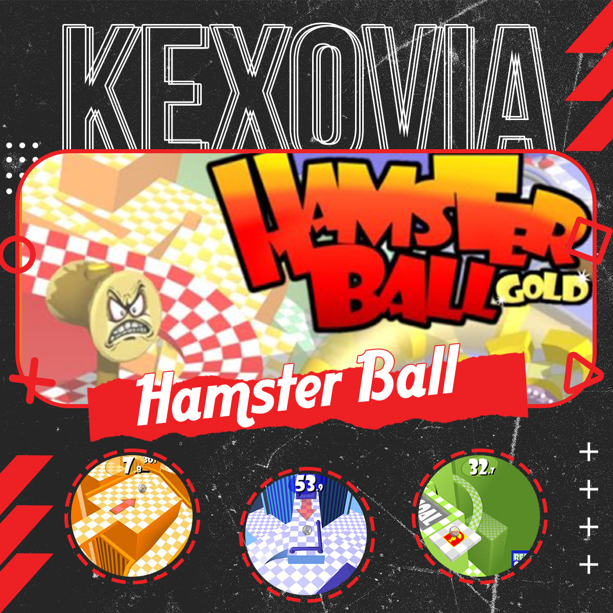 Hamster Ball